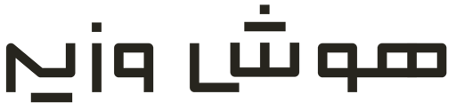 هوش وزیر