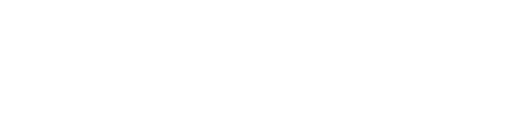 هوش وزیر